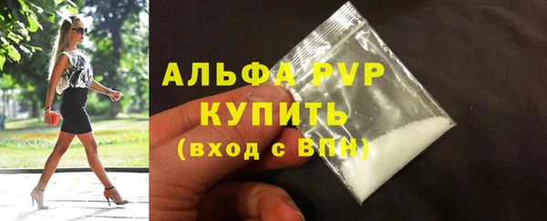 ECSTASY Белокуриха