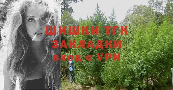 ECSTASY Белокуриха