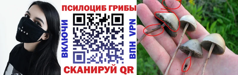 Галлюциногенные грибы Cubensis  Гай 