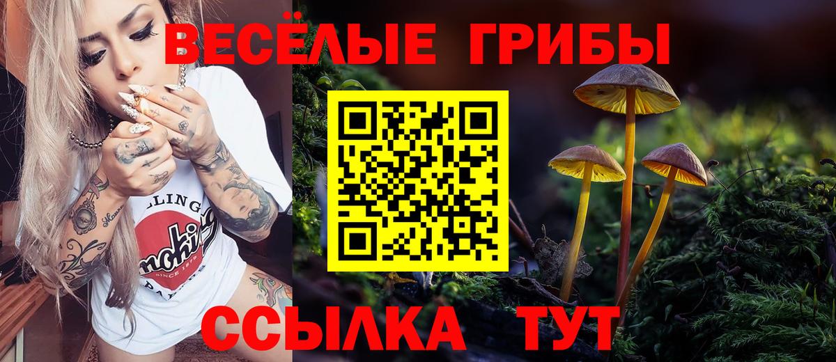 Галлюциногенные грибы ЛСД Гай