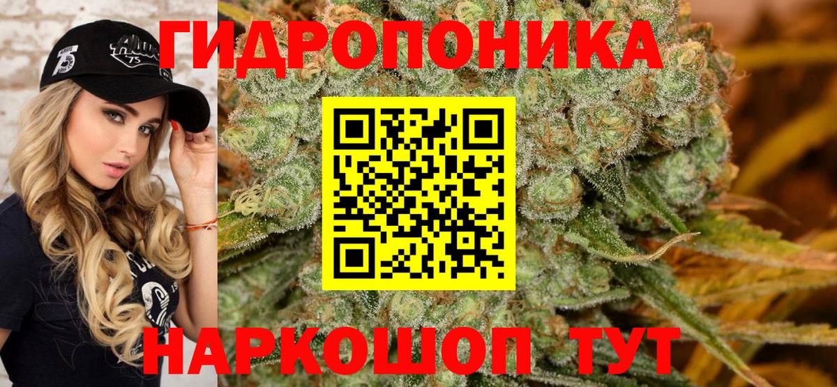 Бошки Шишки сатива Гай